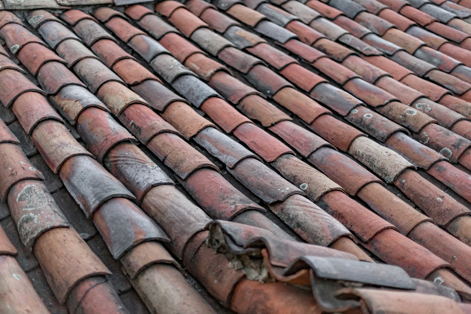 Professional roofing team in Lakeland