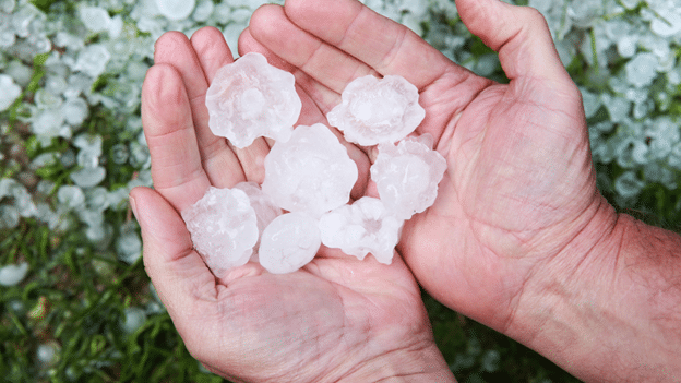 two hands holding hail